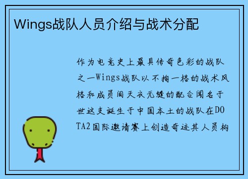 Wings战队人员介绍与战术分配