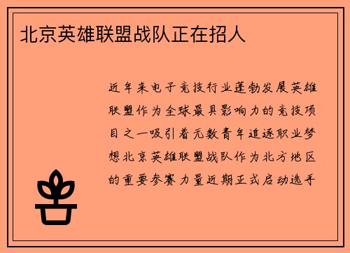 北京英雄联盟战队正在招人